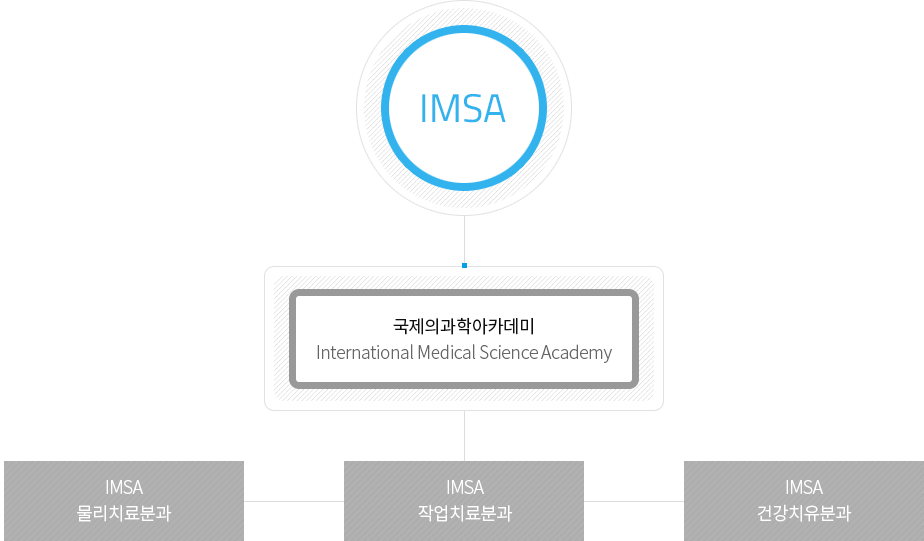 조직